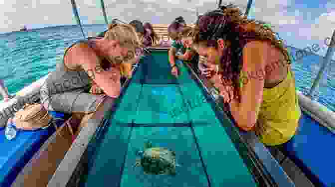 A Glass Bottom Boat Tour, Allowing Passengers To View The Underwater World Through Large Glass Panels In The Bottom Of The Boat. Exploring Australia S Great Barrier Reef (Australia 15)