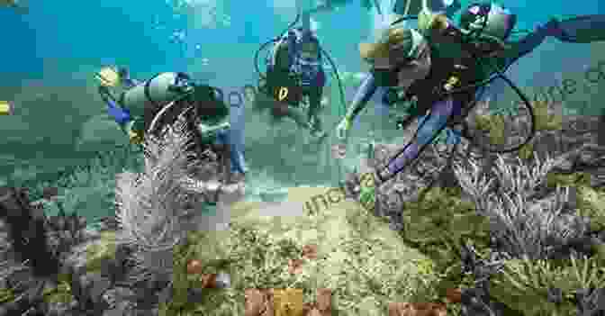 A Group Of Volunteers Planting New Coral Colonies On The Great Barrier Reef, As Part Of A Conservation And Restoration Effort. Exploring Australia S Great Barrier Reef (Australia 15)