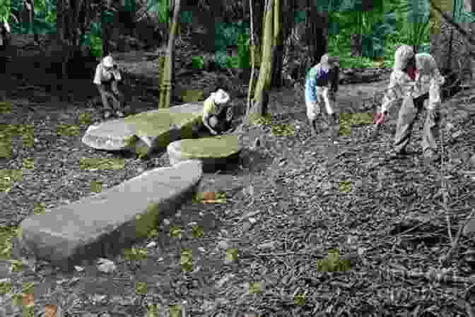 A Photograph Of Archaeologists Excavating An Ancient Mayan Temple Breakfast For Alligators: Quests Showdowns And Revelations In The Americas