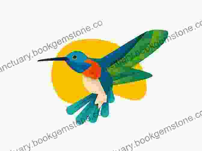 An Illustration Of A Hummingbird Drawing Birds Andrew Forkner