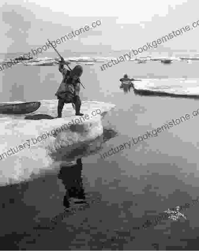An Inuit Hunter Using A Harpoon To Hunt A Seal From A Kayak Bloggers Guide To Arctic Finland: Discover A Real Arctic Environment