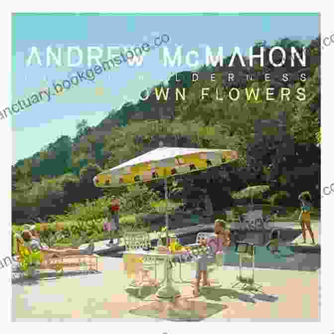 Andrew McMahon's Softly Fiji Album Cover Featuring A Panoramic View Of A Fijian Beach With Palm Trees And Blue Skies Softly Fiji Andrew McMahon