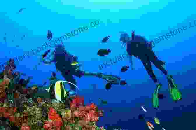 Divers Exploring A Coral Reef In Hawaii Drifting Off Hawaii