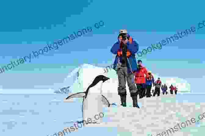 Guides Accompanying Scientists On An Expedition To Antarctica The Story Of The Guides