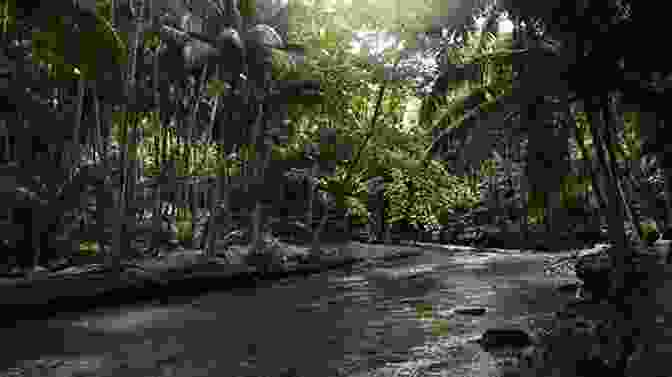 La Mosquitia Rainforest With A River Flowing Through The Jungle Honduras Travel Guide With 100 Landscape Photos