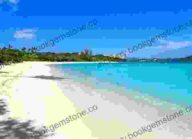 Snorkeling In Lindquist Beach, St. Thomas St Thomas Snorkeling Guide: Third Edition