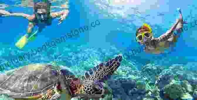 Snorkeling In Magens Bay, St. Thomas St Thomas Snorkeling Guide: Third Edition