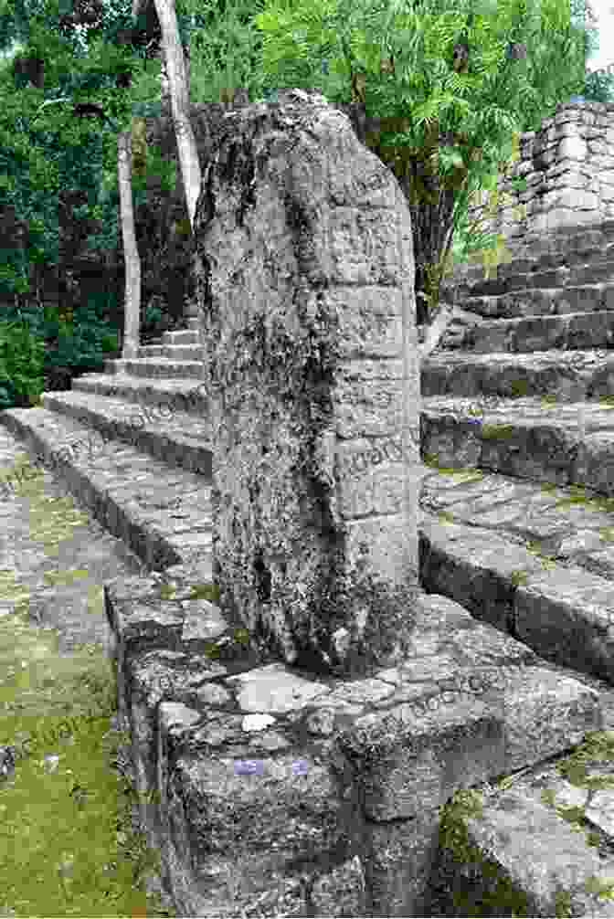 The Stelae Field Of Calakmul Features Dozens Of Carved Stone Monuments. A Photographer S Guide To Calakmul