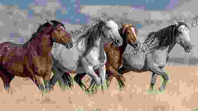 Wild Mustang On The Open Range Horses In The American West: Portrayals By Twenty Four Artists (American Wests Sponsored By West Texas A M University)