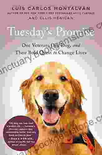 Tuesday S Promise: One Veteran One Dog And Their Bold Quest To Change Lives