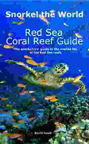 Snorkel The World: Red Sea Coral Reef Guide