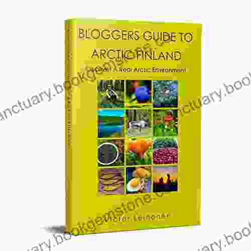 Bloggers Guide To Arctic Finland: Discover A Real Arctic Environment