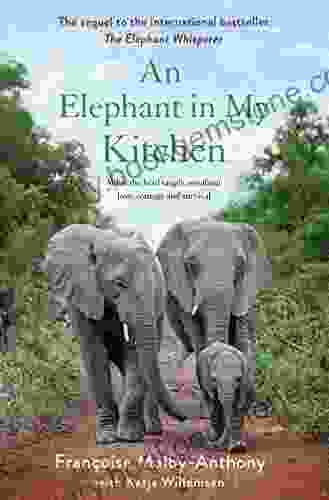 An Elephant In My Kitchen: What The Herd Taught Me About Love Courage And Survival (Elephant Whisperer 2)